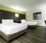 Days Inn by Wyndham Fallsview hotel detail image 3