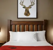 Great Wolf Lodge Pocono Mountains, PA hotel detail image 4