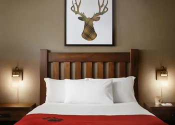 Great Wolf Lodge Pocono Mountains, PA hotel thumbnail 4