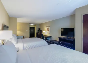 Comfort Suites Mobile-South Alabama University Area hotel thumbnail 8