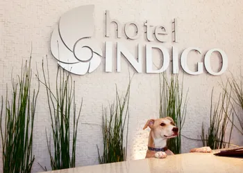 Hotel Indigo San Diego-Gaslamp Quarter by IHG hotel thumbnail 2