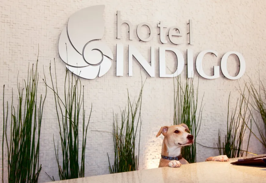 Hotel Indigo San Diego-Gaslamp Quarter by IHG hotel detail image 2