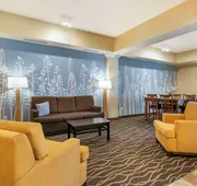 Sleep Inn & Suites Rapid City hotel detail image 5