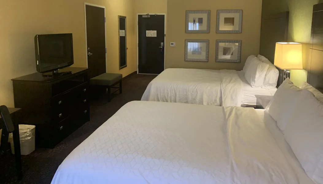 Holiday Inn Express Hotel & Suites Lansing-Dimondale by IHG hotel detail image 6