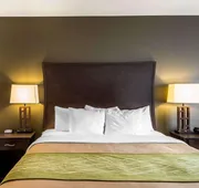 Comfort Inn & Suites Alva hotel detail image 5