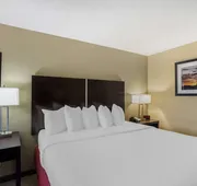 Best Western Harrisburg North Hotel hotel detail image 5