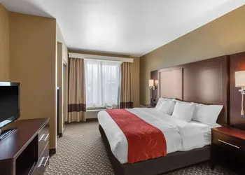 Comfort Suites Seaford hotel thumbnail 6