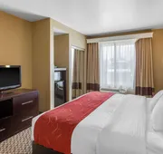 Comfort Suites Seaford hotel detail image 7