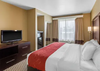 Comfort Suites Seaford hotel thumbnail 7