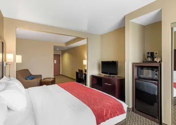 Comfort Suites Seaford hotel thumbnail 8