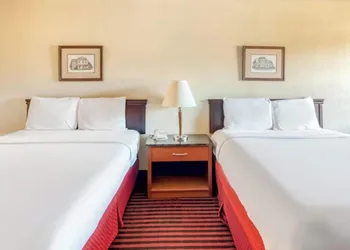 OYO Hotel Jefferson TX Hwy 59 hotel thumbnail 7