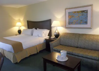 Holiday Inn Express Indianapolis Airport by IHG hotel thumbnail 4