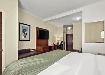 Comfort Suites Corpus Christi Central hotel thumbnail 8