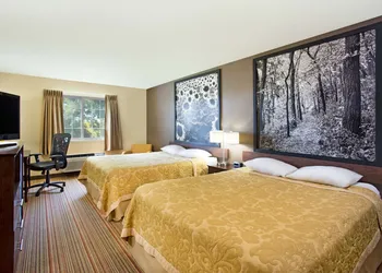 Super 8 by Wyndham New Hampton hotel thumbnail 8