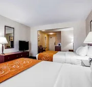 Comfort Suites Independence - Kansas City hotel detail image 7