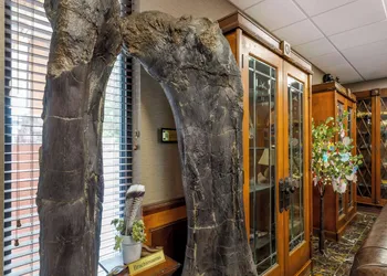 Best Western Denver Southwest hotel thumbnail 7