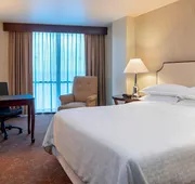 Sheraton Houston Brookhollow Hotel hotel detail image 5