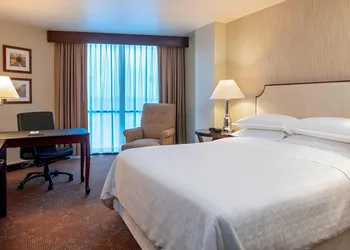 Sheraton Houston Brookhollow Hotel hotel thumbnail 5