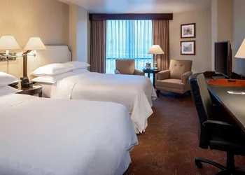 Sheraton Houston Brookhollow Hotel hotel thumbnail 6