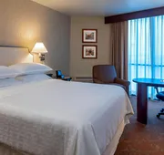 Sheraton Houston Brookhollow Hotel hotel detail image 7