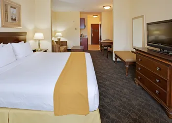 Holiday Inn Express Hotel & Suites Pearland by IHG hotel thumbnail 3
