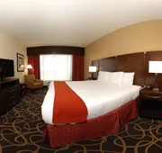 Holiday Inn Express & Suites Houston South near Pearland by IHG hotel detail image 4