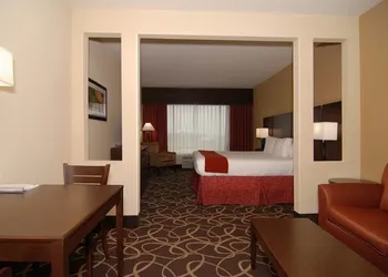 Holiday Inn Express & Suites Houston South near Pearland by IHG hotel thumbnail 8
