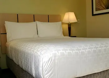 Candlewood Suites Houston Medical Center by IHG hotel thumbnail 6