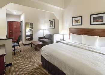 Quality Inn & Suites West Chase hotel thumbnail 7