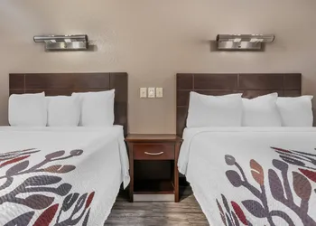 Red Roof Inn Houston - Brookhollow hotel thumbnail 4