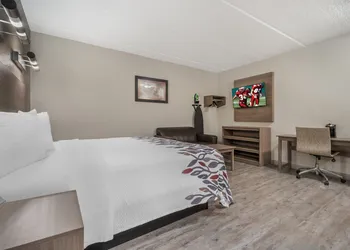 Red Roof Inn Houston - Brookhollow hotel thumbnail 5