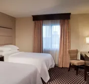 Embassy Suites by Hilton Houston Near the Galleria hotel detail image 7