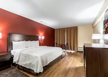 Red Roof Inn PLUS+ & Suites Houston - IAH Airport SW hotel thumbnail 7