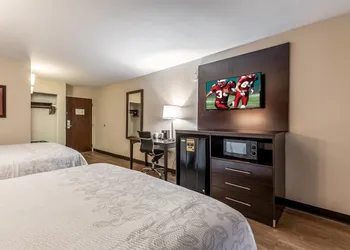 Red Roof Inn PLUS+ & Suites Houston - IAH Airport SW hotel thumbnail 8