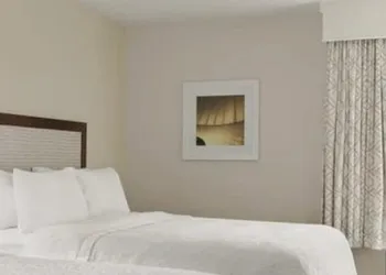 Hampton Inn Houston Hobby Airport hotel thumbnail 7