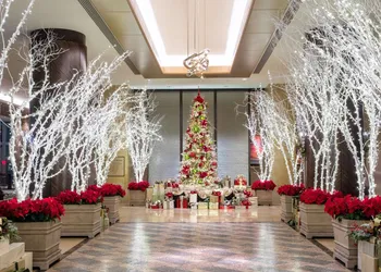 Hilton Americas-Houston hotel thumbnail 5