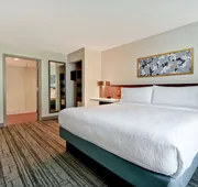 Hilton Garden Inn Houston/Galleria Area hotel detail image 7