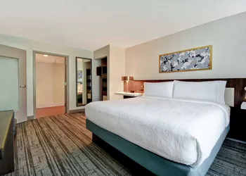 Hilton Garden Inn Houston/Galleria Area hotel thumbnail 7