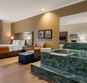 Comfort Suites Baytown I - 10 hotel detail image 5