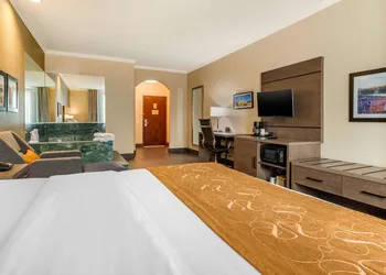 Comfort Suites Baytown I - 10 hotel thumbnail 8