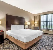 Best Western Plus Hobby Airport Inn & Suites hotel detail image 3