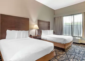 Best Western Plus Hobby Airport Inn & Suites hotel thumbnail 4