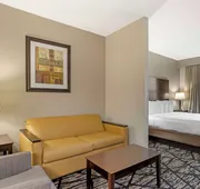 Best Western Plus Hobby Airport Inn & Suites hotel detail image 5