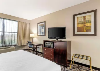 Best Western Plus Hobby Airport Inn & Suites hotel thumbnail 6