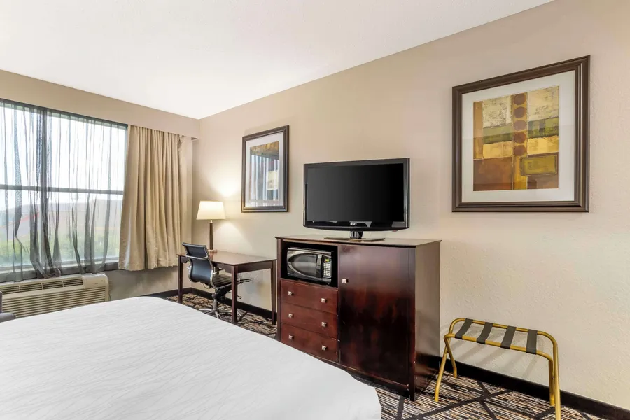 Best Western Plus Hobby Airport Inn & Suites hotel detail image 6