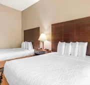 Best Western Plus Hobby Airport Inn & Suites hotel detail image 7