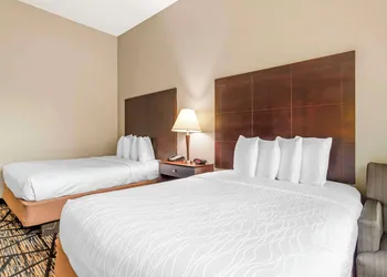 Best Western Plus Hobby Airport Inn & Suites hotel thumbnail 7