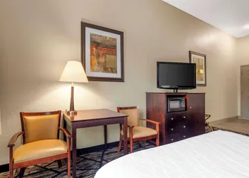 Best Western Plus Hobby Airport Inn & Suites hotel thumbnail 8
