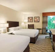 DoubleTree by Hilton Houston Intercontinental Airport hotel detail image 5