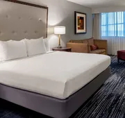 Sonesta Hotel Houston IAH Airport hotel detail image 5